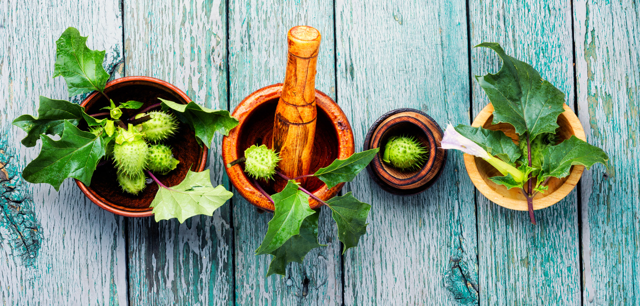Natural Herbs Medicine